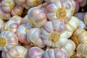 pink-garlic-under-bright-sunlight-closeup-image-34440557