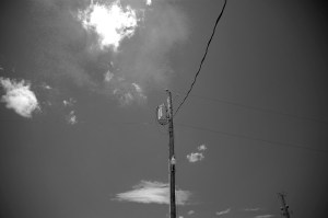 alligatornc_june282015_dsc_5174_bwtwo