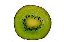 Kiwi1-1.1