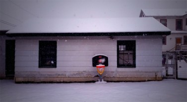 snowbasket_20160122_155434_two1