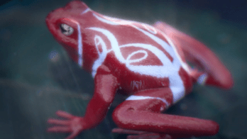 Studio-Smack_Future-of-Advertising-STASH-MAGAZINE