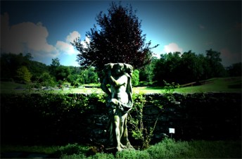 garden_july19_2015_dsc_5413_three