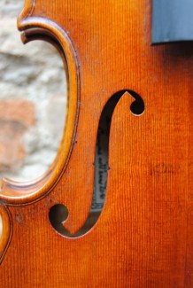 viola-edgar-russ-st2-685x1024