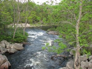 magnetawan_river_rapids