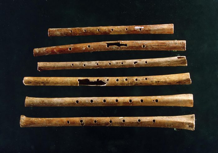 9000-yr-old-flute-e1484025608870