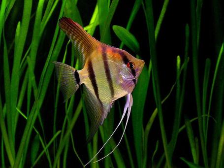 d6798e07ed6aa92882a69d80fed465e2